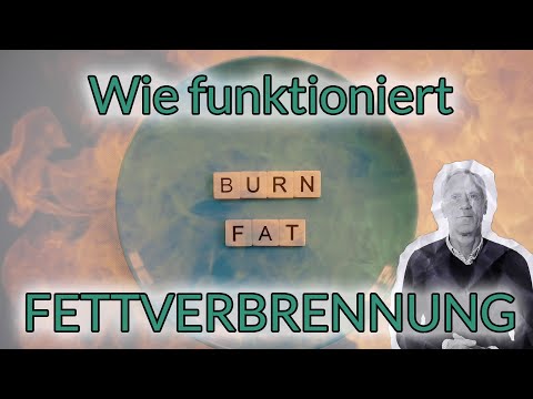 Wie funktioniert Fettverbrennung? Mit Wissen abnehmen!