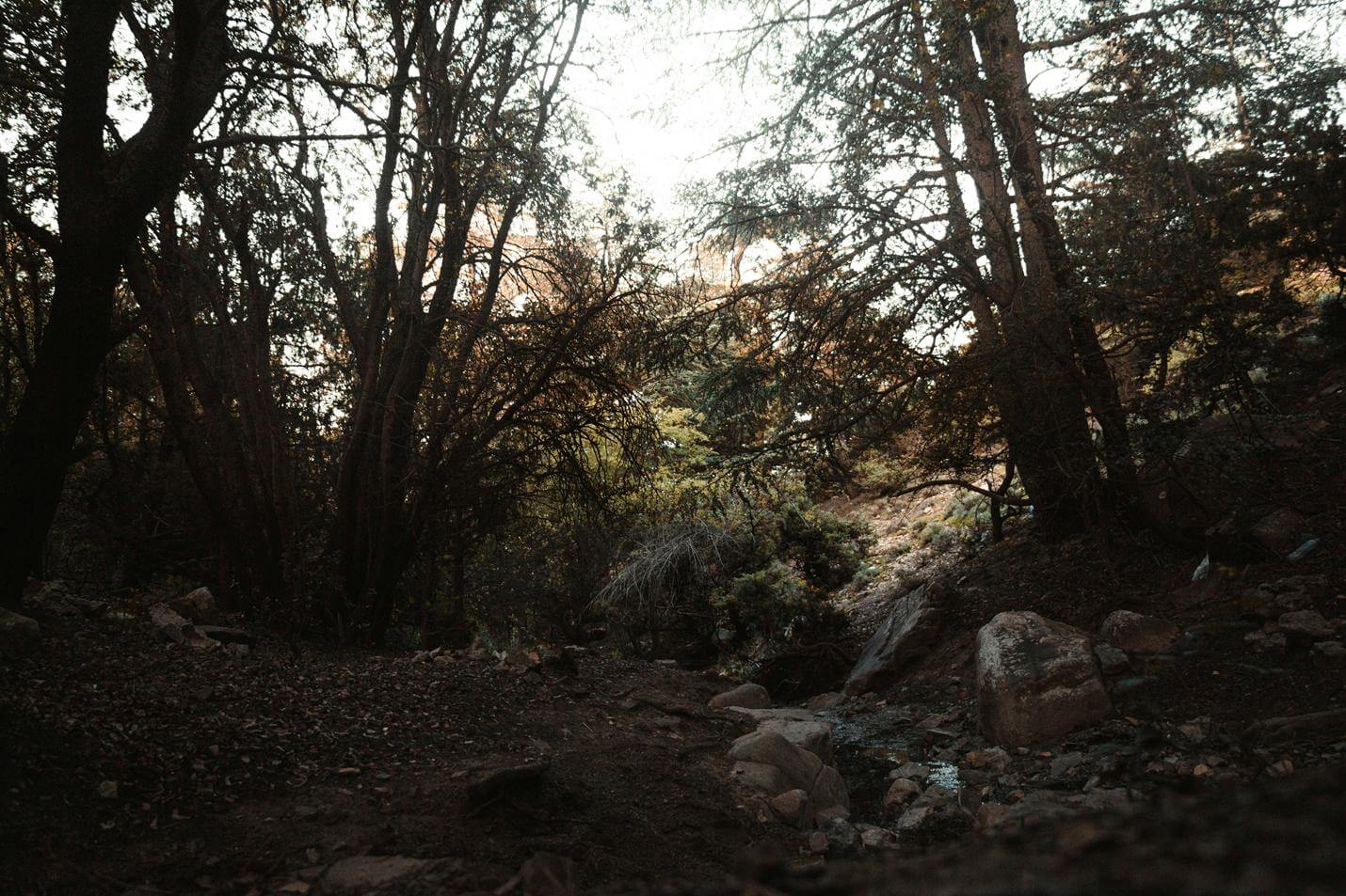 Geocaching